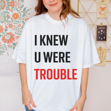 Load image into Gallery viewer, 22 - IKYWT – unisex comfort colors tee