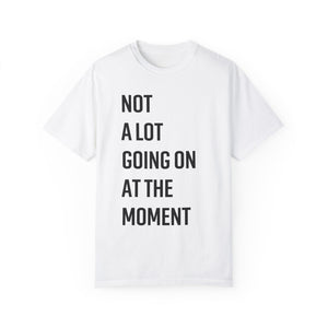 22 - not a lot going on – unisex comfort colors tee