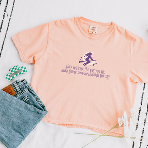 soaring through the sky – comfort colors women's boxy tee